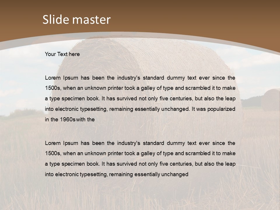 Space Fly Sunny PowerPoint Template