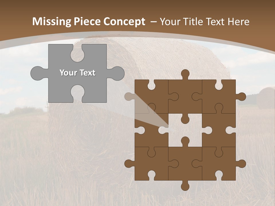 Space Fly Sunny PowerPoint Template