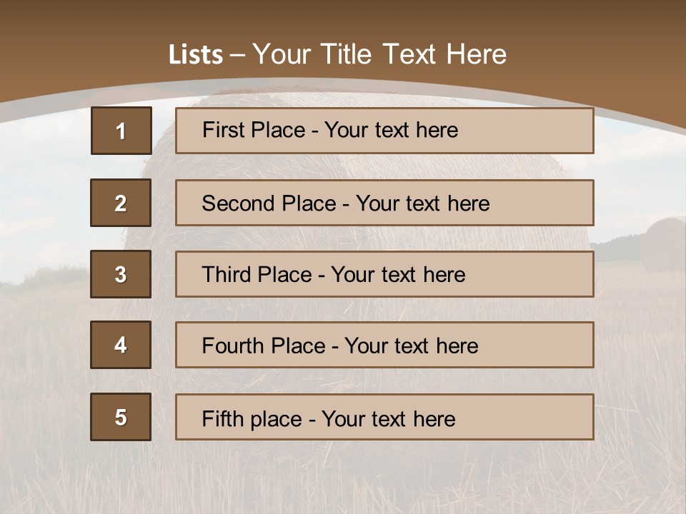 Space Fly Sunny PowerPoint Template