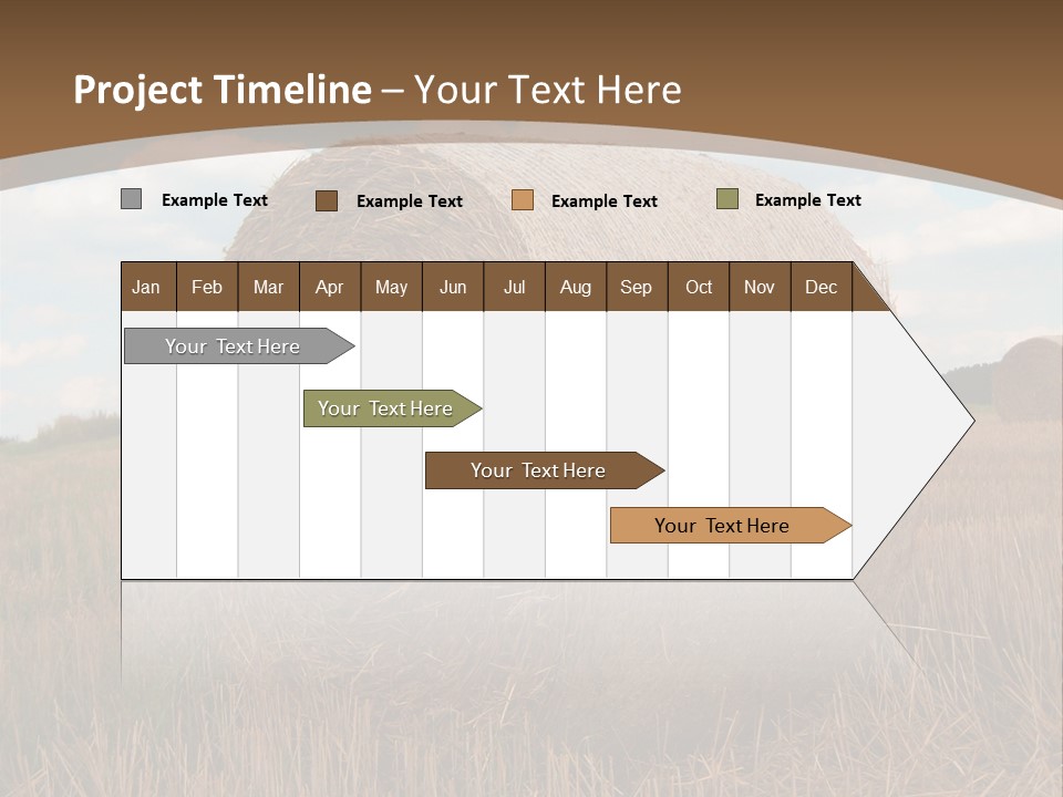 Space Fly Sunny PowerPoint Template