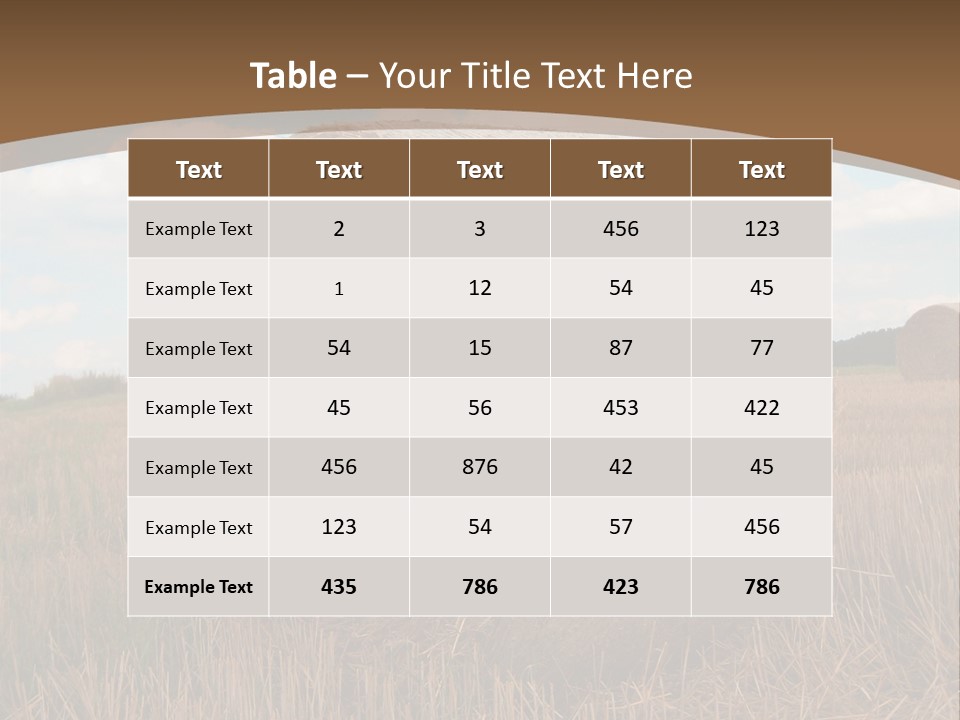 Space Fly Sunny PowerPoint Template