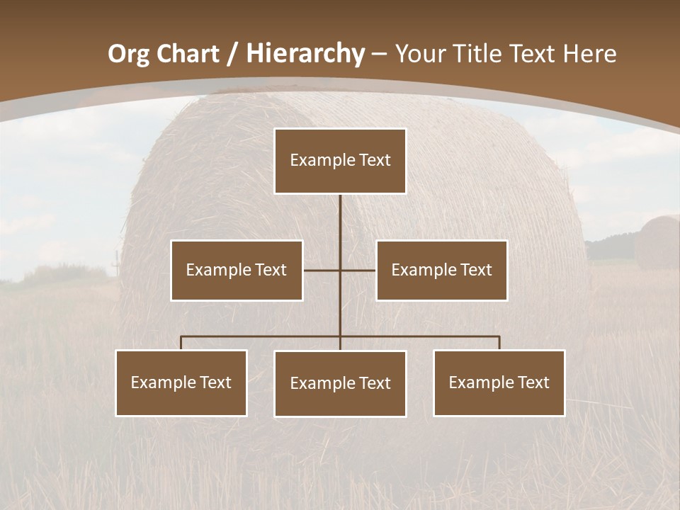 Space Fly Sunny PowerPoint Template