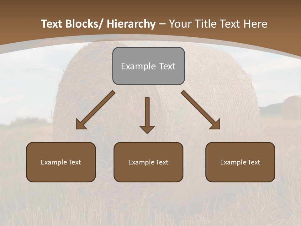 Space Fly Sunny PowerPoint Template