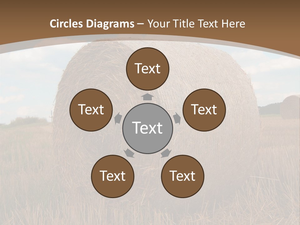 Space Fly Sunny PowerPoint Template