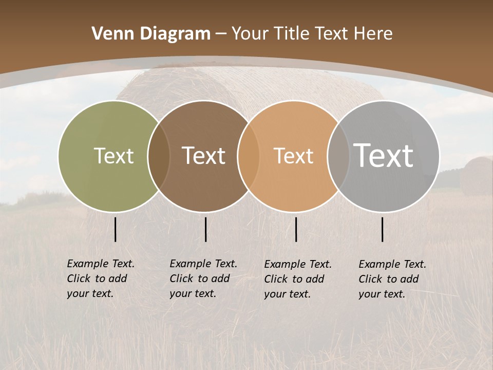 Space Fly Sunny PowerPoint Template