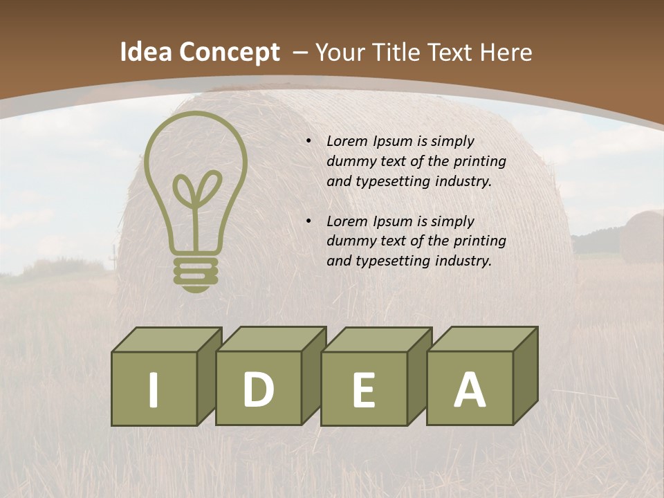 Space Fly Sunny PowerPoint Template