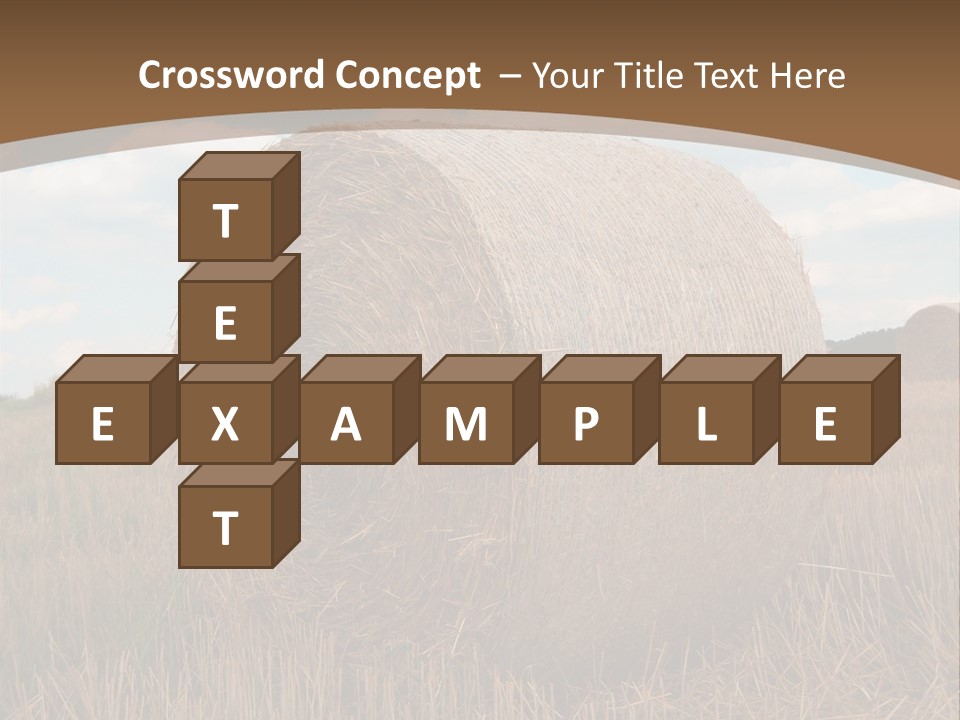 Space Fly Sunny PowerPoint Template