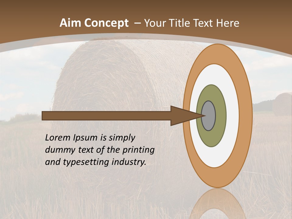 Space Fly Sunny PowerPoint Template