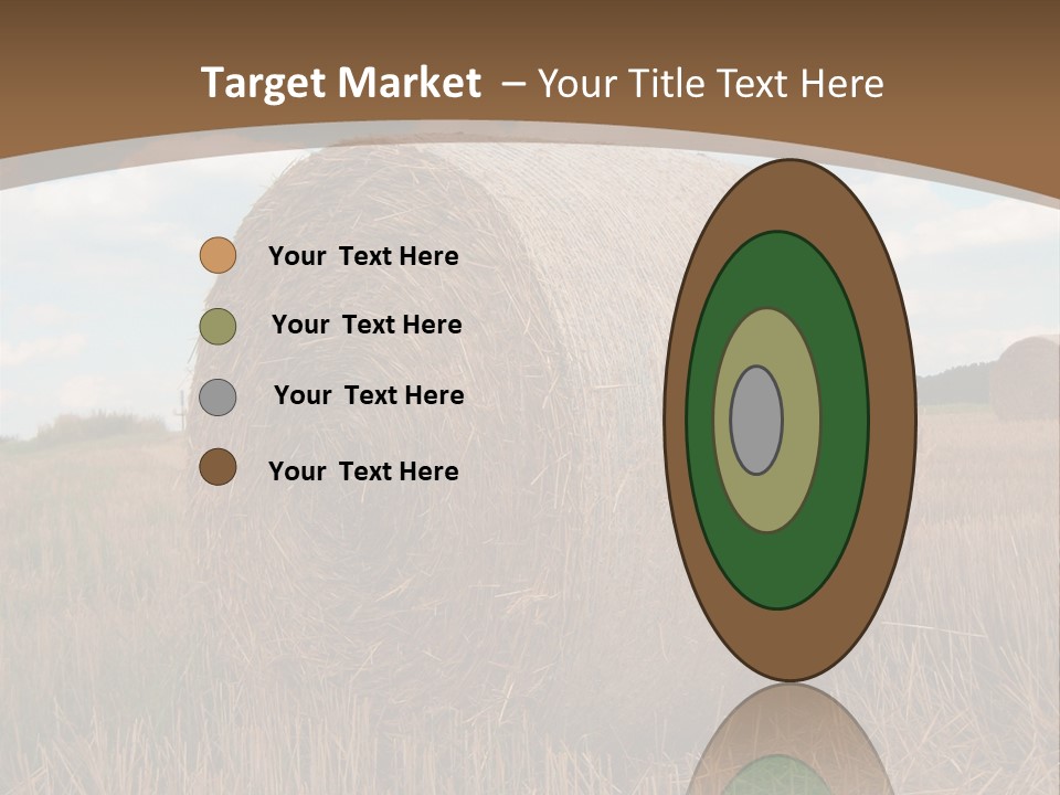 Space Fly Sunny PowerPoint Template