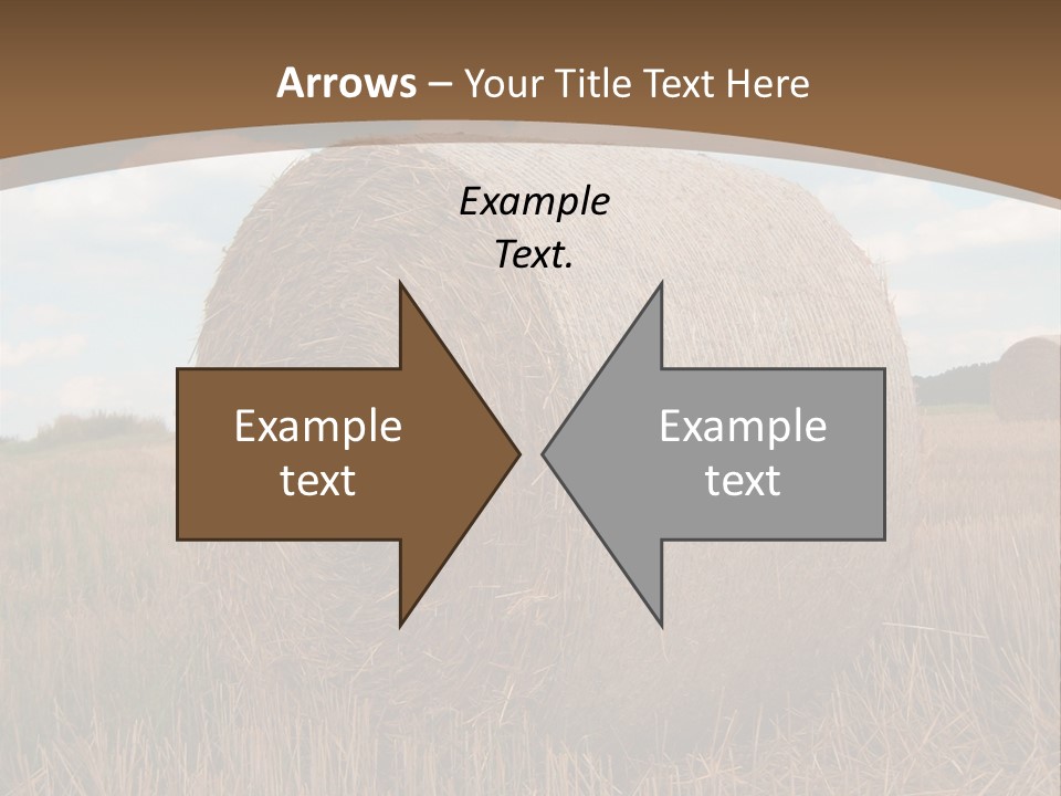 Space Fly Sunny PowerPoint Template