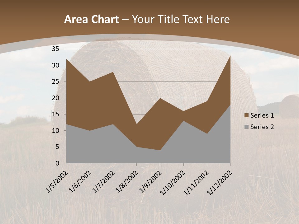 Space Fly Sunny PowerPoint Template