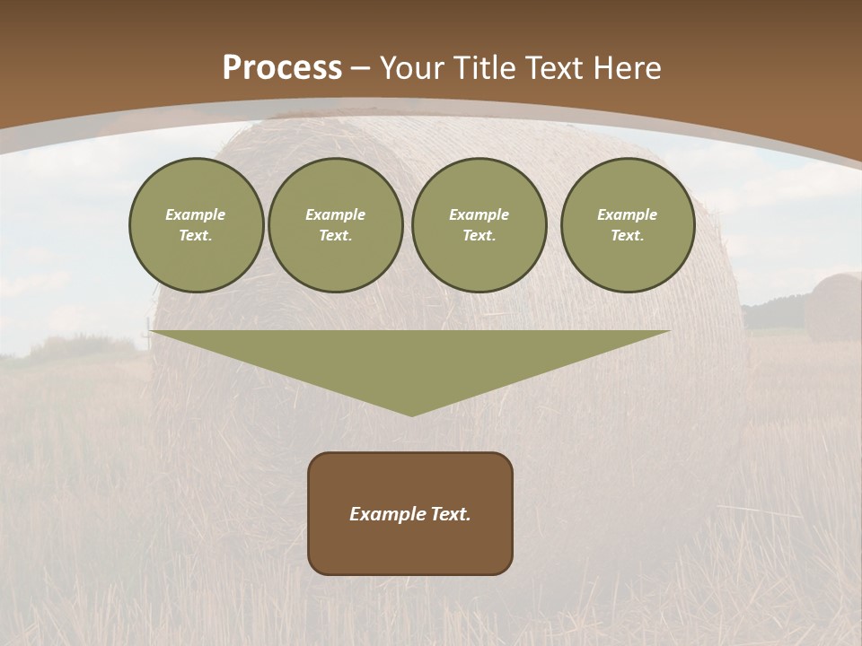 Space Fly Sunny PowerPoint Template