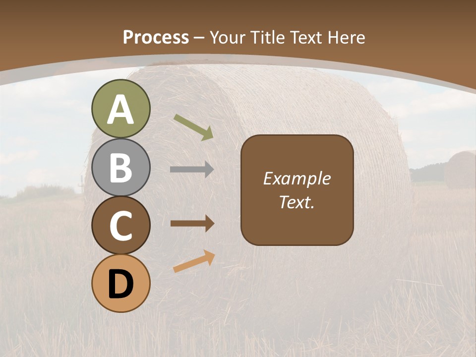 Space Fly Sunny PowerPoint Template