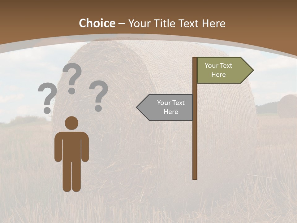 Space Fly Sunny PowerPoint Template