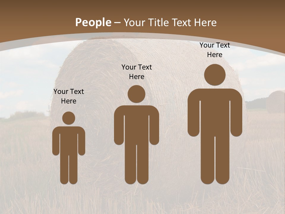 Space Fly Sunny PowerPoint Template