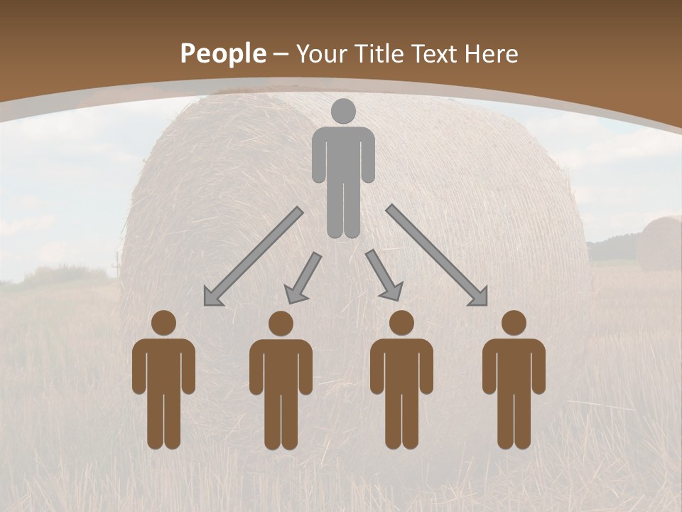 Space Fly Sunny PowerPoint Template