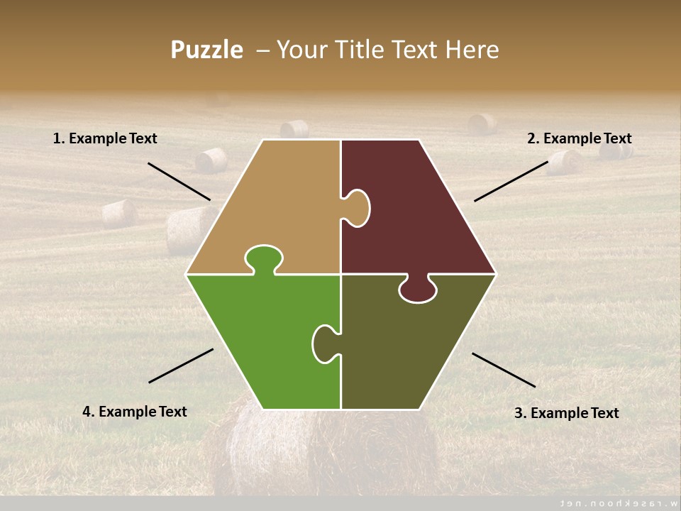 Meadow Butterfly Inachis PowerPoint Template