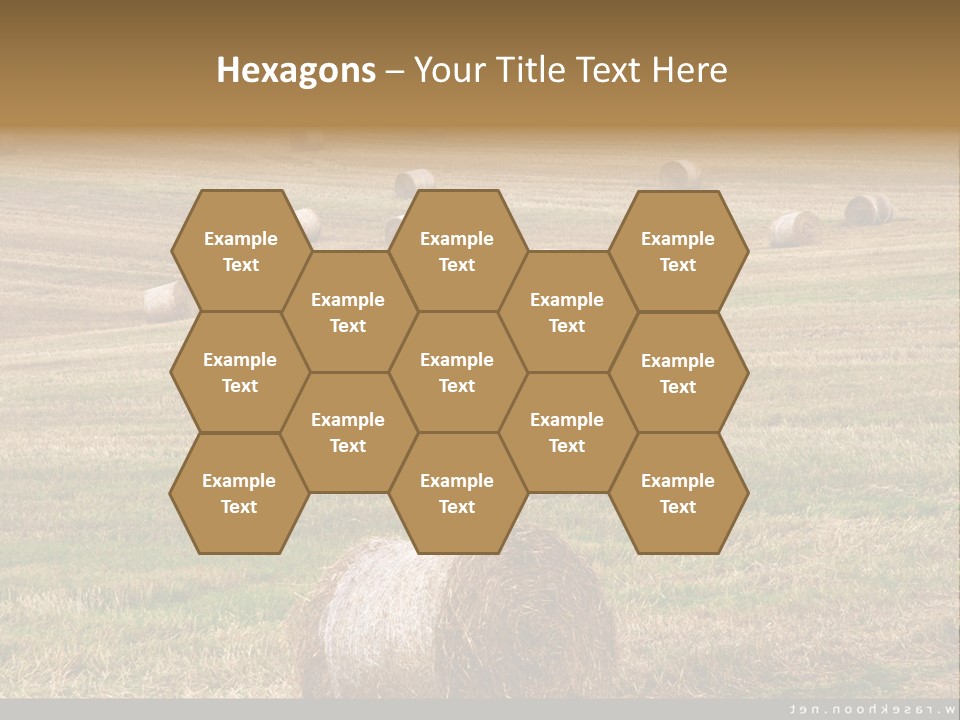 Meadow Butterfly Inachis PowerPoint Template