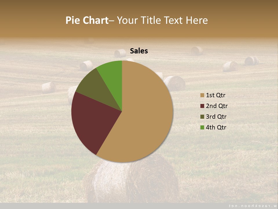 Meadow Butterfly Inachis PowerPoint Template