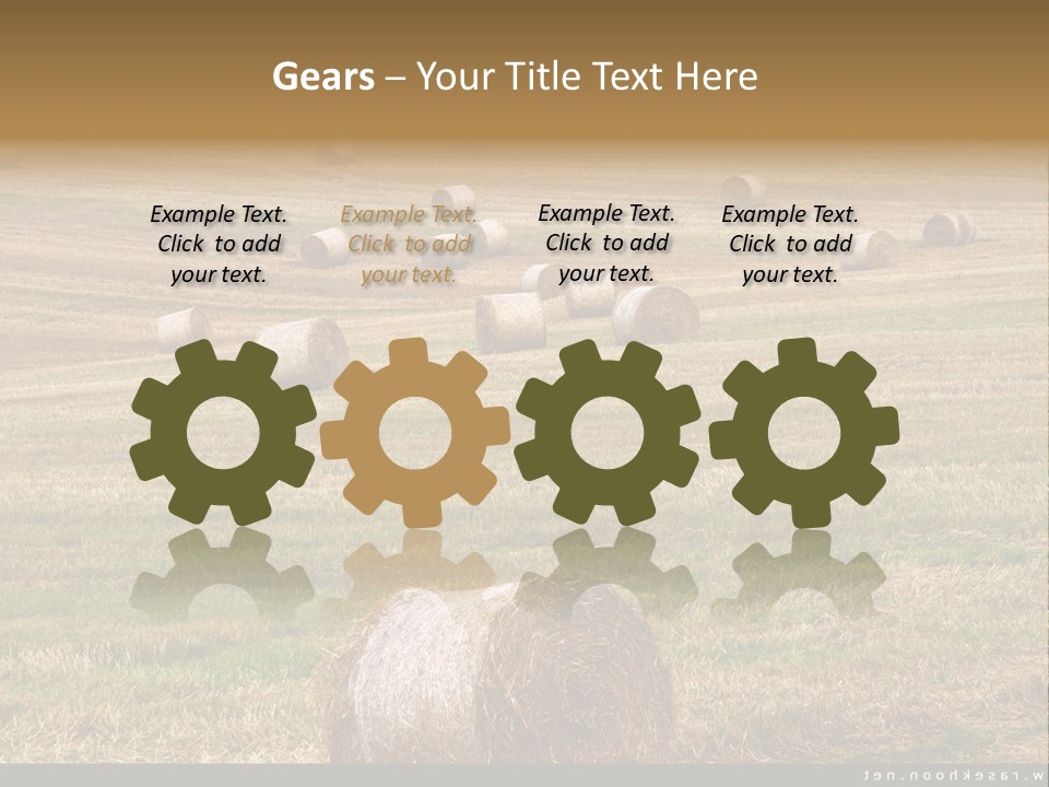 Meadow Butterfly Inachis PowerPoint Template