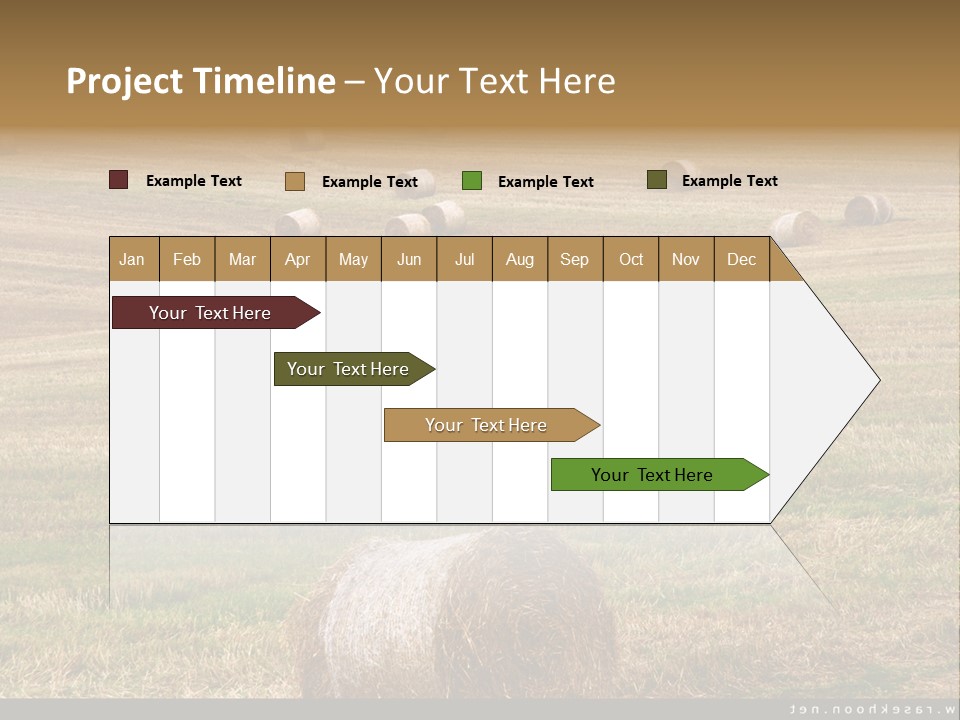Meadow Butterfly Inachis PowerPoint Template