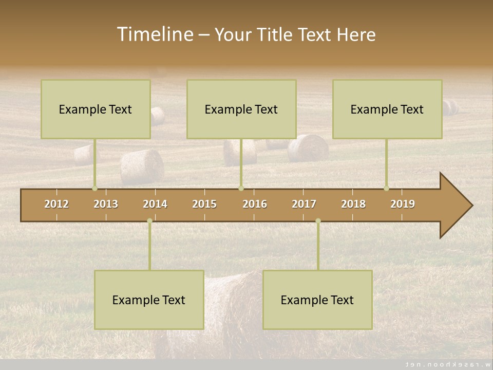 Meadow Butterfly Inachis PowerPoint Template
