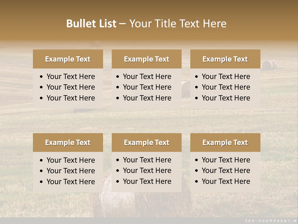 Meadow Butterfly Inachis PowerPoint Template