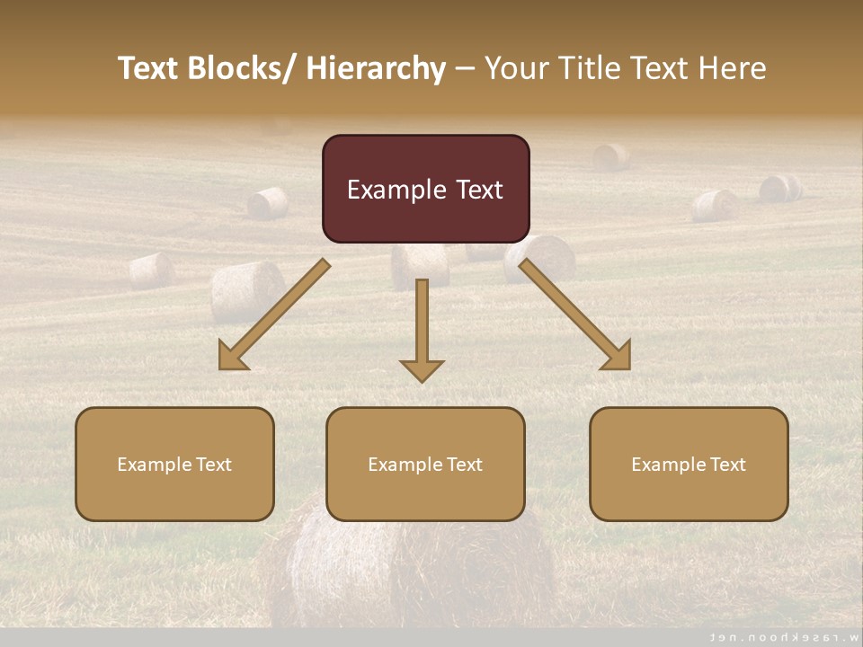 Meadow Butterfly Inachis PowerPoint Template