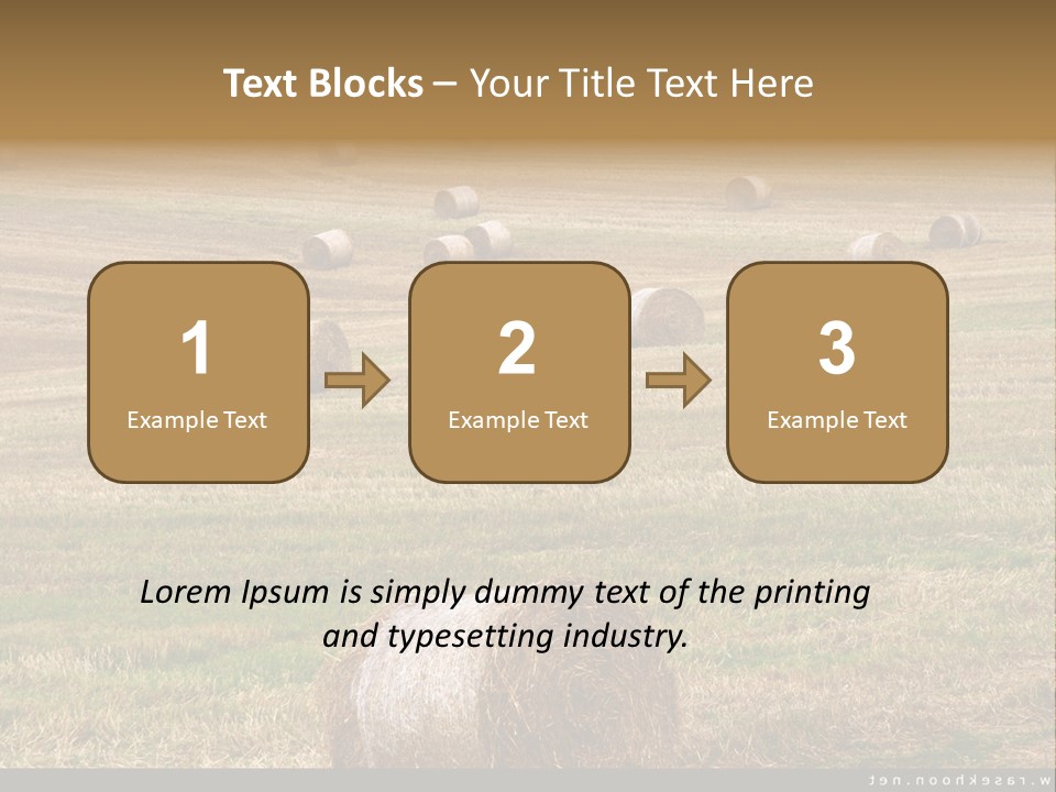 Meadow Butterfly Inachis PowerPoint Template