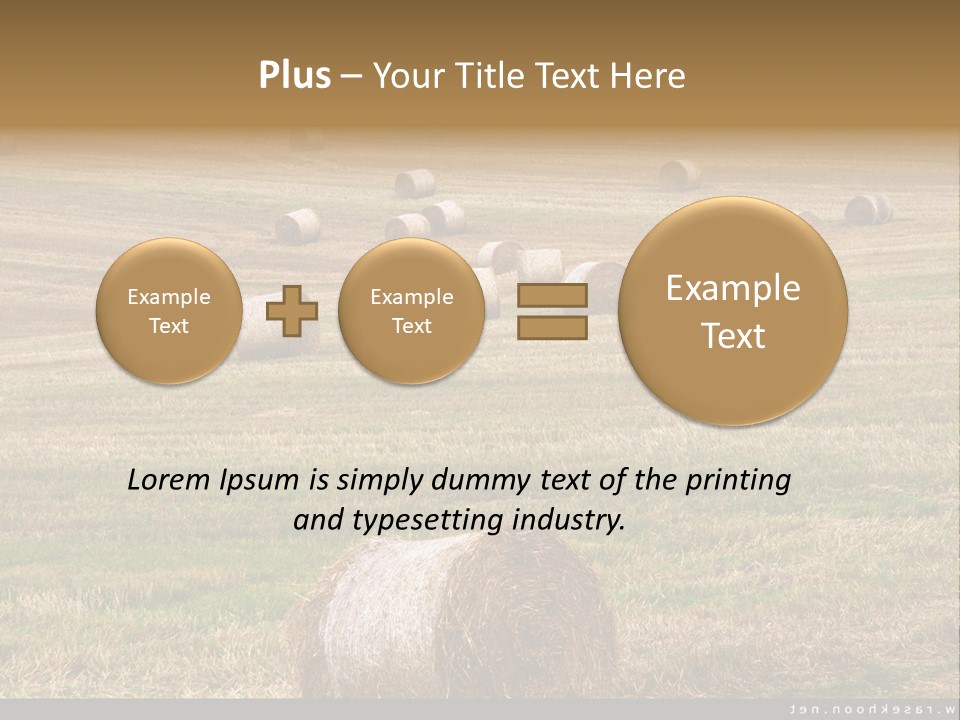 Meadow Butterfly Inachis PowerPoint Template