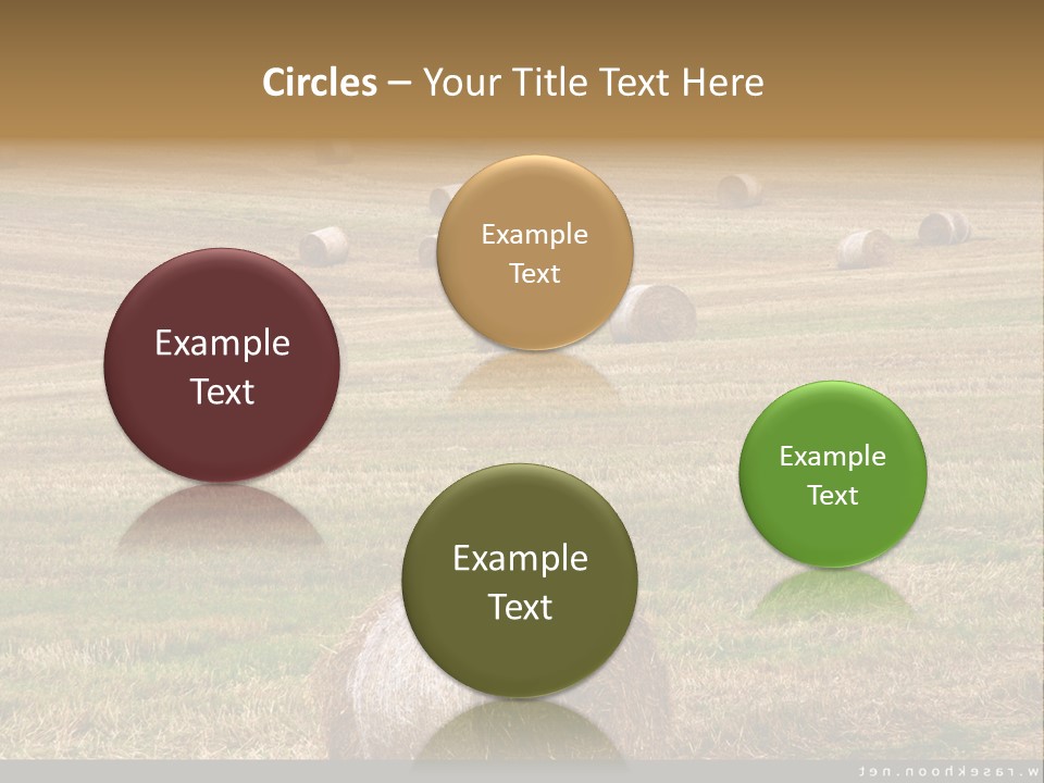 Meadow Butterfly Inachis PowerPoint Template