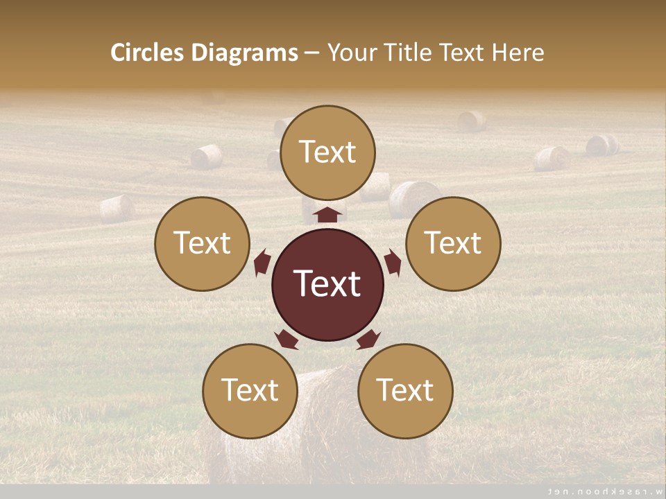 Meadow Butterfly Inachis PowerPoint Template