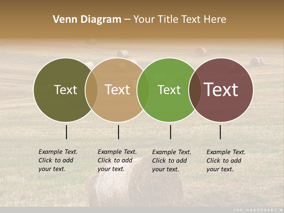 Meadow Butterfly Inachis PowerPoint Template