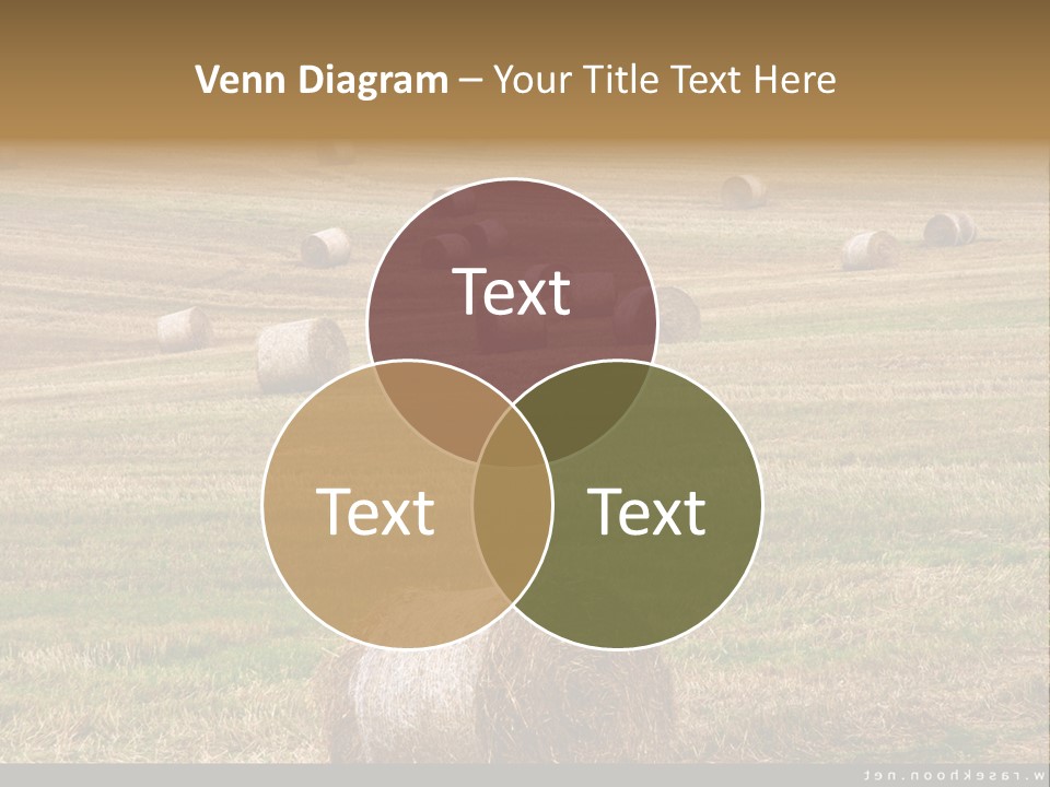 Meadow Butterfly Inachis PowerPoint Template