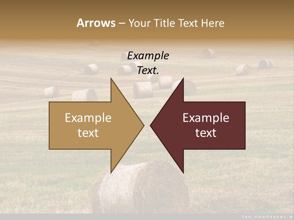 Meadow Butterfly Inachis PowerPoint Template