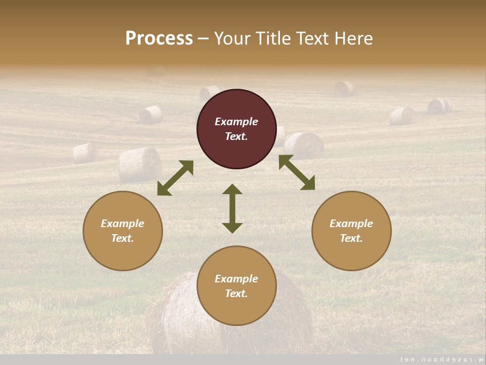 Meadow Butterfly Inachis PowerPoint Template