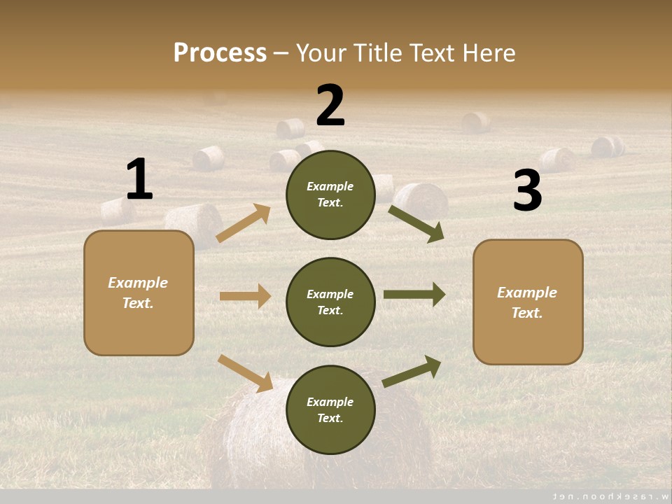 Meadow Butterfly Inachis PowerPoint Template