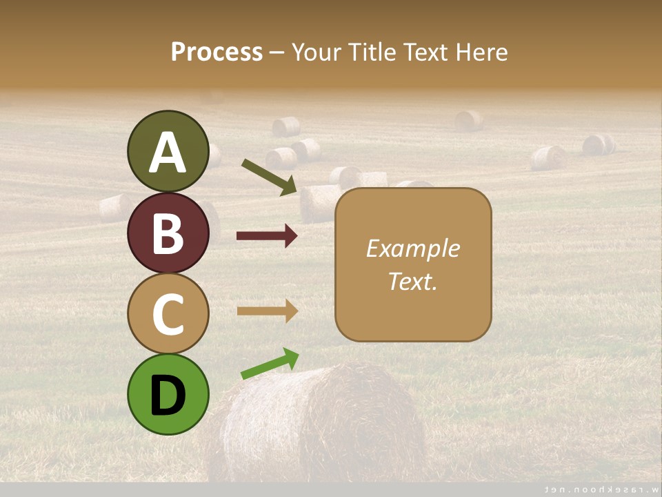 Meadow Butterfly Inachis PowerPoint Template