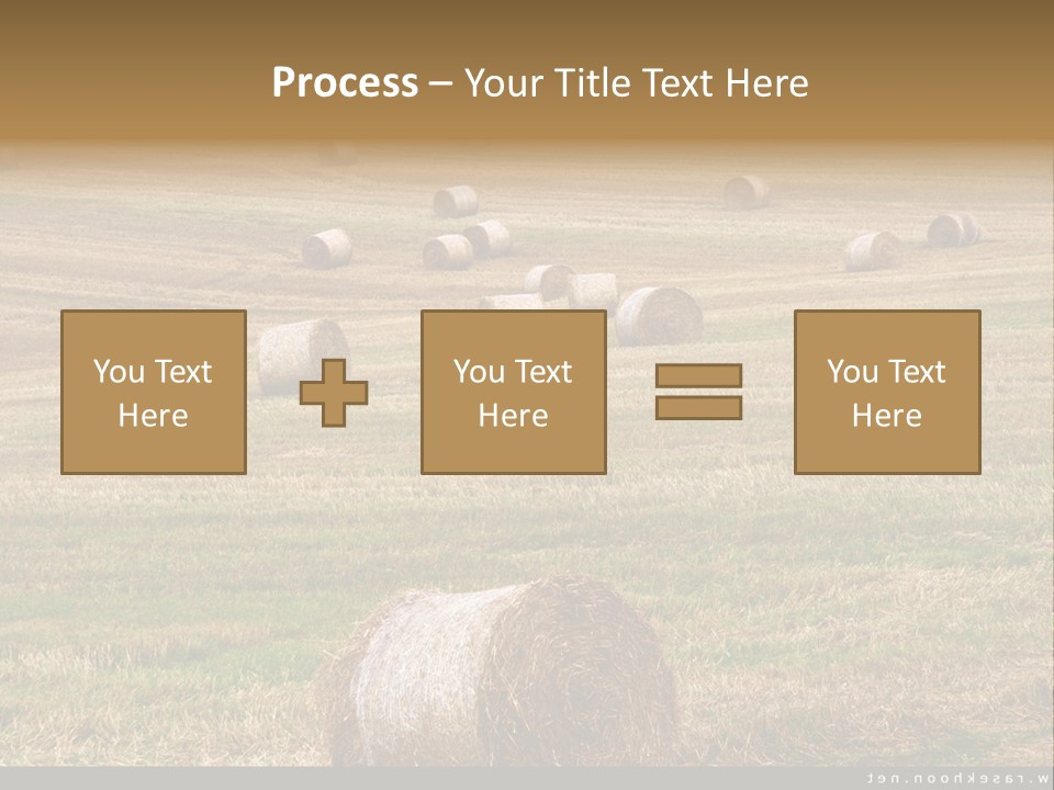 Meadow Butterfly Inachis PowerPoint Template