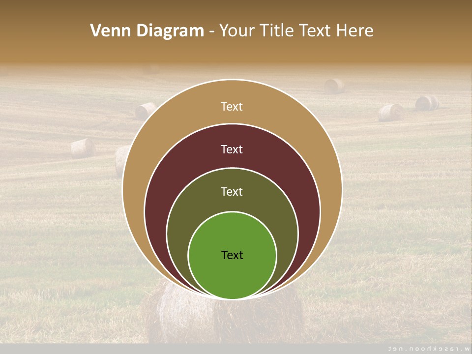 Meadow Butterfly Inachis PowerPoint Template