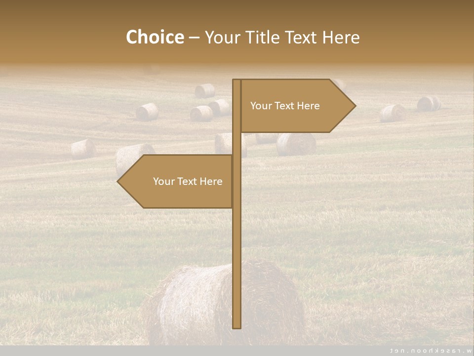 Meadow Butterfly Inachis PowerPoint Template