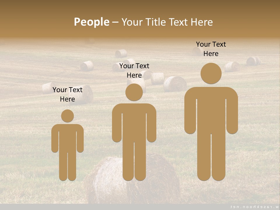 Meadow Butterfly Inachis PowerPoint Template