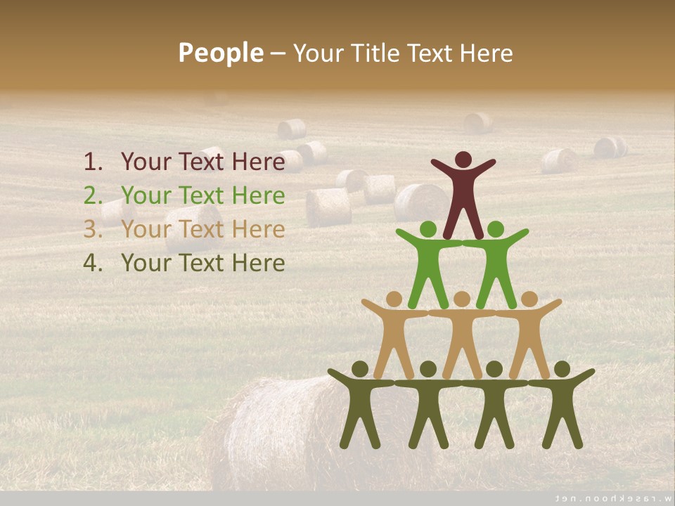 Meadow Butterfly Inachis PowerPoint Template