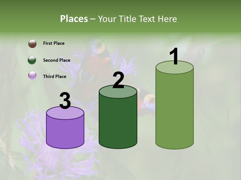 Meadow Butterfly Inachis PowerPoint Template