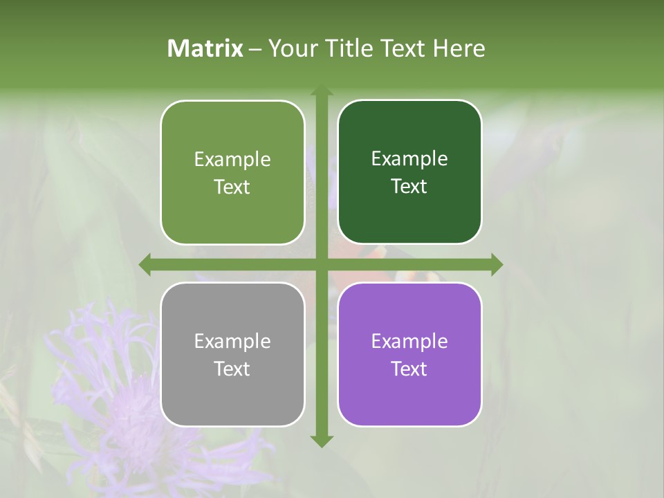 Meadow Butterfly Inachis PowerPoint Template