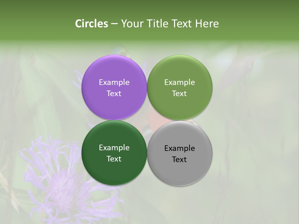 Meadow Butterfly Inachis PowerPoint Template