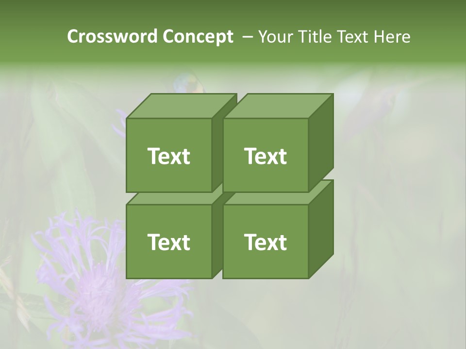 Meadow Butterfly Inachis PowerPoint Template