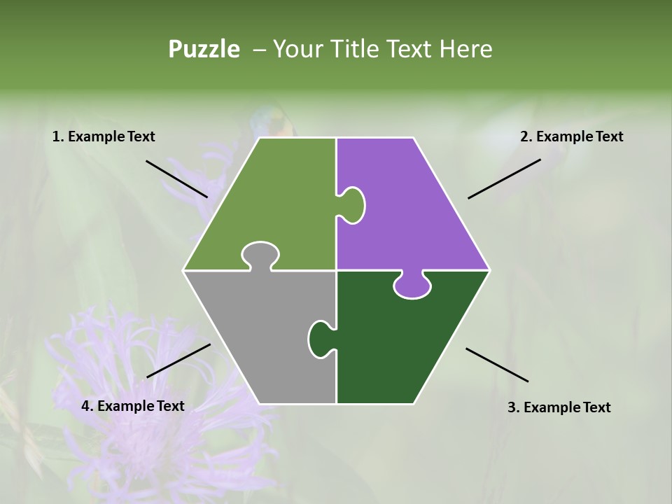 Meadow Butterfly Inachis PowerPoint Template