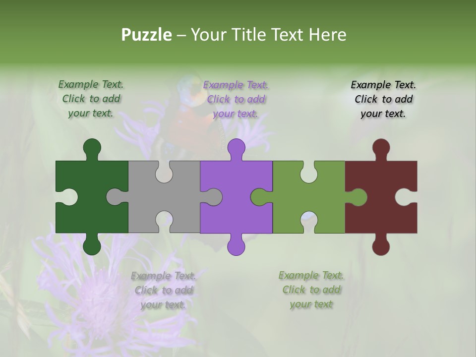 Meadow Butterfly Inachis PowerPoint Template