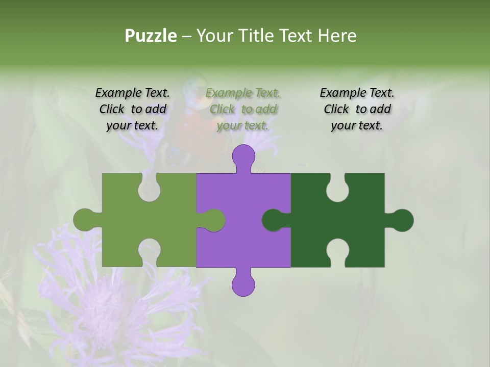 Meadow Butterfly Inachis PowerPoint Template